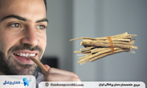 جویدن چوب مسواک طبیعی (مثل چوب درخت اراک)؛ سنتی اما مؤثر در سفیدی دندان